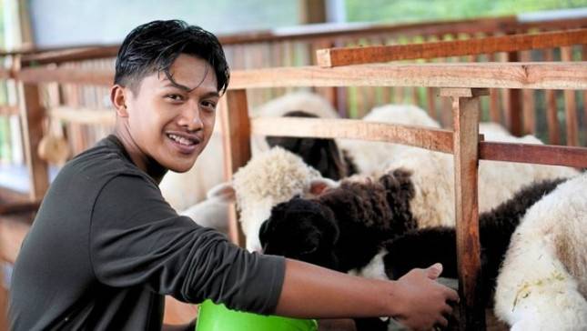 ChildFund dan YKSB Luncurkan GRI, Ubah Peternakan Domba Boyolali Jadi Model Bisnis Hijau Anak Muda
