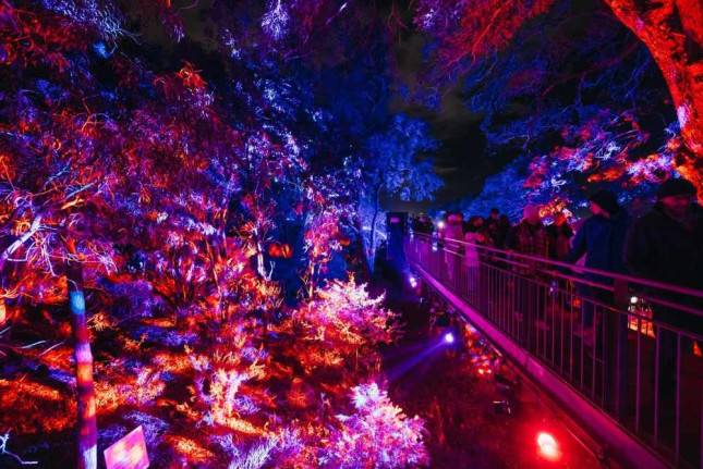 Lightscape Perth 2026, Dunia Cahaya 1,8 Km yang Bikin Instagram Meledak