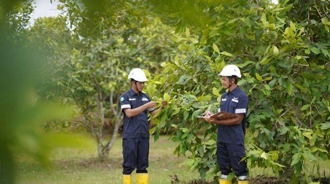 MIND ID Reklamasi 8.000 Hektare Lahan dan Rehabilitasi DAS 37.700 Hektare, Perkuat Keanekaragaman Hayati
