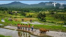 Ilustrasi Desa Wisata (AI)