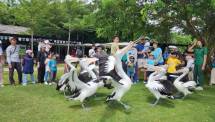 Aviary Park Indonesia Hadirkan &ldquo;Amazing Aviary Race&rdquo;, Petualangan Seru Keliling Area untuk Kumpulkan Stamp dan Menangkan Hadiah