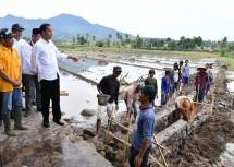 Presiden Jokowi Tinjau Pelaksanaan Padat Karya Tunai di Lampung Selatan 