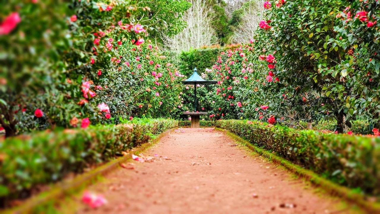 Taman botani Bogor wisata alam