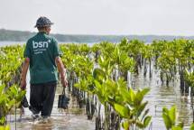 Hari Mangrove Sedunia, Bank BSN Tegaskan Komitmen Jaga Ekosistem Pesisir 