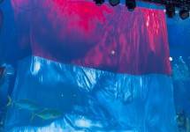 Pengibaran bendera Merah Putih di Jakarta Aquarium & Safari (JAQS)