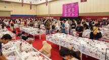Modinity Warehouse Sale 2026 digelar pada 27&ndash;30 Agustus 2026 di Hall 1&ndash;2 Indonesia Convention Exhibition (ICE) BSD City, Tangerang. Sementara di Malaysia, acara digelar di LaLaport Bukit Bintang City Centre, Kuala Lumpur. 