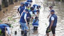 Para relawan melakukan penanaman bibit bakau (mangrove) di kawasan Pantai Bahak, Tongas, Probolinggo, pada Senin (17/8/2026).