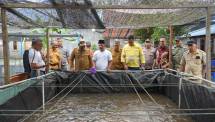 Panen Raya Sadaka Farm: Sinergi NHM, Pemda, dan Warga Lahirkan Sumber Ekonomi Baru