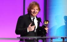 Temukan Hewan Langka, Pembangunan Gereja Milik Ed Sheeran Ditunda