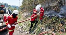 Ilustrasi Emergency Response Team NHM