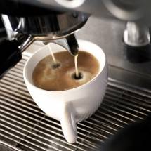 Kolaborasi Kemenkop dan UKM Jaga Produksi dan Pemasaran Kopi di Indonesia