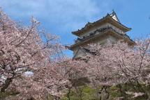 Kastel Odawara di Odawara-shi. (Dok.Industry.co.id)