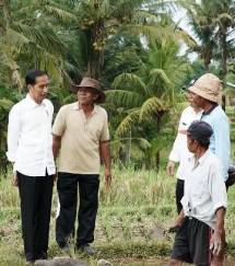 Presiden Jokowi dan petani (Foto Setkab)