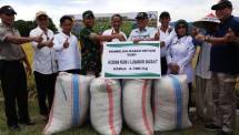 Agung Hendriadi: Serab Gabah Agar Petani Tidak Sengsara (Foto Dok Industry.co.id)