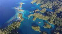Ini Dia! Surganya Spot Diving Terbaik Ada di Halmahera Selatan