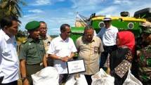 Panen Berlimpah, Saatnya Mengisi Cadangan Beras Pemerintah (Foto Dok Industry.co.id) 