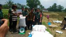 Manunggal TNI dan Petani Untuk Pangan TNI Dalam Program Pertanian