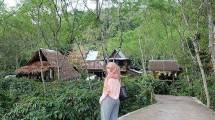Ngopi Sembari Berkeliling di Kebun Kopi Arabika di Seladang Coffee