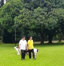 Presiden Jokowi-Ketum Golkar Olahraga di Kebun Raya Bogor