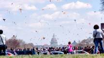 Festival Blossom Kite di Washington D.C, Amerika Serikat (Foto: www.nerdwatch.com)