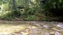 Pemandian Air Panas Kea-kea, KSDA Mangolo, Kelurahan Ulunggolaka Kecamatan Latambaga, Kabupaten Kolaka (Foto: YouTube)