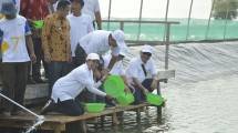 Menteri Badan Usaha Milik Negara (BUMN), Rini M. Soemarno Meninjau Langsung kawasan Perhutanan Sosial Muara Gembong di Kabupaten Bekasi, Provinsi Jawa (Foto: Istimewa)
