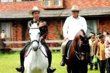 Nasdem Komitmen Koalisi Setelah Jokowi Umumkan Cawapres