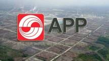 Terapkan Manajamen Terintegrasi, APP Sinar Mas Turunkan Angka Kebakaran di Konsesi Hingga Hampir Nol
