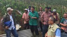 Kementan Tegaskan Wajib Tanam Importir Bawang Putih Tetap Lanjut