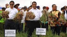 Mentan Pastikan Pasokan Beras Cipinang Aman Saat Banjir