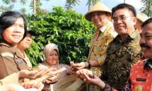 Tembus USD 469 Juta, Menperin Pacu Ekspor Produk Kopi Olahan Nasional