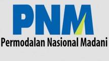 Logo PT Permodalan Nasional Madani (Kantoralamat)