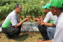 Afrizal Gindow, Sales & Marketing Director Ewindo, bersama dua petani asal Maumere, Papua dalam Expo Cap Panah Merah, Selasa (8/5), Purwakarta. (Herlambang/Industry.co.id)