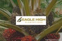  Felda Tak Mungkin Hengkang dari Eagle High Plantations