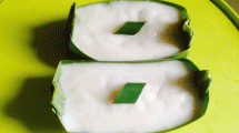 Kue Perahu Khas Jambi (Foto: cookpad.com)