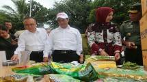 Lepas Ekspor Edamame Jember ke Jepang, Mentan: Permudah Aturan