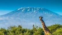 Sebelum ke Puncak Kilimanjaro, Ini Persiapan Khusus Ramon Y Tungka