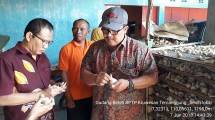 Bawang Putih Benih Lokal dan Impor Taiwan Cocok di Indonesia