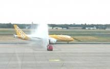 Maskapai Penerbangan, Scoot