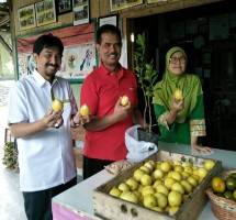 Pemerintah Dorong Wisata Agro dan Edukasi Berbasis Hortikultura