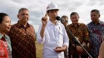 Presiden Joko Widodo 