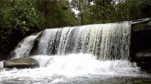 Taman Wisata Pancur Aji, Pontianak (Foto: homestaypontianak.wordpress.com)