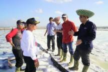 Deputi Bidang Koordinasi Sumber Daya Alam dan Jasa Kemenko Maritim, Agung Kuswandono bersama Direktur Produksi PT. Garam Hartono, Direktur Pengembangan PT Garam, Edo Hariandja saat panen raya garam di PT Garam (Foto: Dok. Kemenko Maritim)