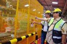 Menteri Perindustrian Airlangga Hartarto didampingi Presiden Direktur PT Coca-Cola Amatil Indonesia Kadir Gunduz saat mengunjungi pabrik PT Coca-Cola Amatil Indonesia di Bali (Foto: Kemenperin) 