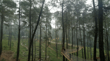 Wood Bridge di Orchid Forest, Cikole, Lembang, Bandung (Foto: Chodijah Febriyani/Industry.co.id)