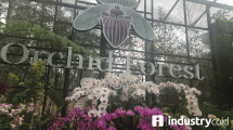Museum Anggrek di Orchid Forest, Lembang, Bandung (Foto: Chodijah Febriyani/Industry.co.id)