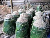 Sayur-sayuran (Foto Dok Industri.co.id) 