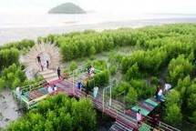 Mempawah Mangrove Park Daerah Tujuan Wisata Kalbar 