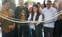 Menkominfo Rudiantara bersama Ketua KPI Yuliandre Darwis saat meresmikan Gedung Komisi Penyiaran Indonesia (Foto: Dok. Industry.co.id)