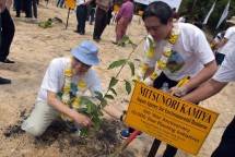 APP Sinar Mas Rayakan 60 Tahun Hubungan RI-Jepang dengan Penanaman Pohon 